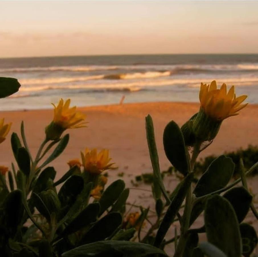 Pousada Villa Morena Florianópolis المظهر الخارجي الصورة